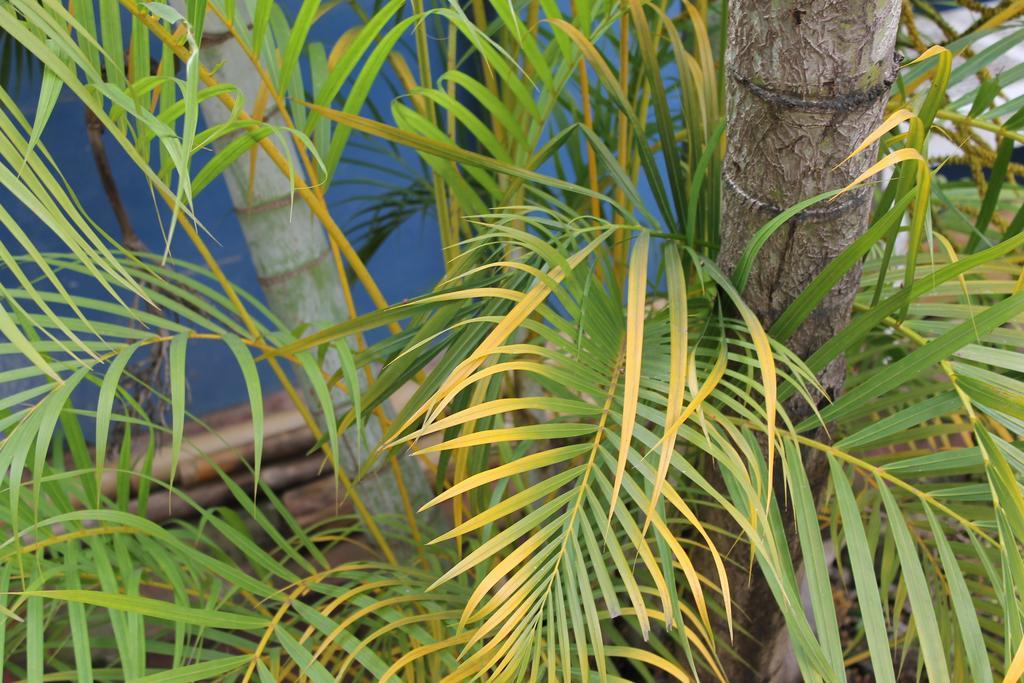 Bambu Tarapoto旅舍 外观 照片